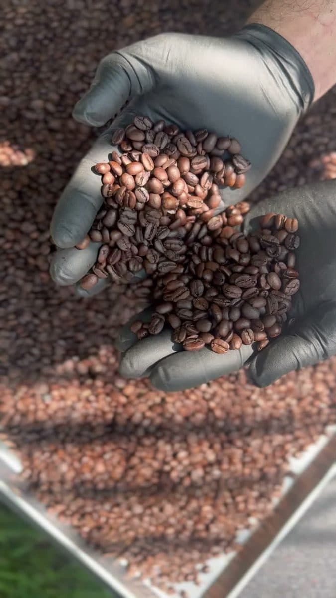 Ready to brew